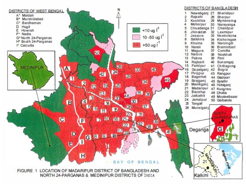 Speciation of arsenic [AsIII, AsV, MMA, DMA] in urine from children, adults, domestic animals’ cow, goat, and of a newborn calf from arsenic exposed areas of Bangladesh and West Bengal-India